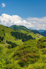 Naklejka na ściany i meble Typical alpine landscape in early summer near Damuls, Vorarlberg, Austria
