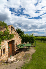 Fototapeta na wymiar Wine cellars and vineyard in Palava region, Southern Moravia, Czech Republic