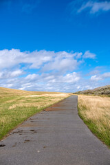 Küstenlandschaft mit Deich, Insel Föhr