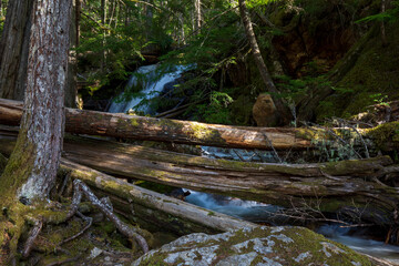 Ross Dam Trail at North Cascades National Park in Washington State.