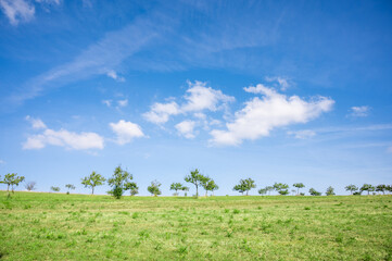 Grüne Landschaft mit Wiese, Bäumen und Feldern