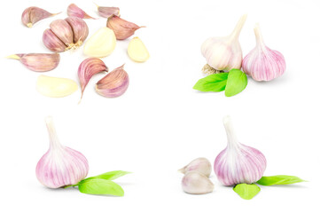 Group of Garlic isolated on a white background cutout