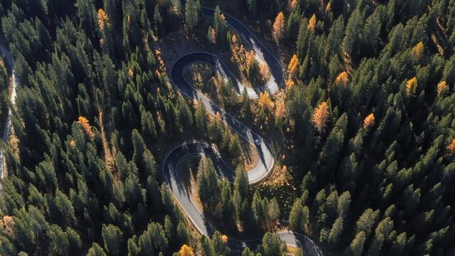 Top aerial view of famous Snake road near Passo Giau in Dolomite Alps. Winding mountains road in lush forest with orange larch trees and green spruce in autumn time. Dolomites, Italy. UHD 4k video