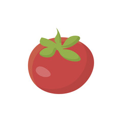 Tomato, simple flat color illustration, perfect for apps and books