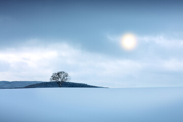 Fototapeta na wymiar Winter landscape with snow covered tree .Christmas background.