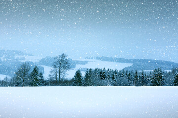 Fototapeta premium Winter landscape with snow covered trees .Christmas background.