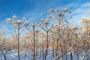 cold winter day