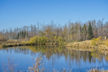 Pylypow Wetlands on a Clear Autumn Day