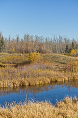 Pylypow Wetlands on a Clear Autumn Day