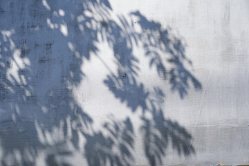 A gray shadow of leaves on a light wall. Abstract neutral background of the concept of nature. Space for text. High quality photo