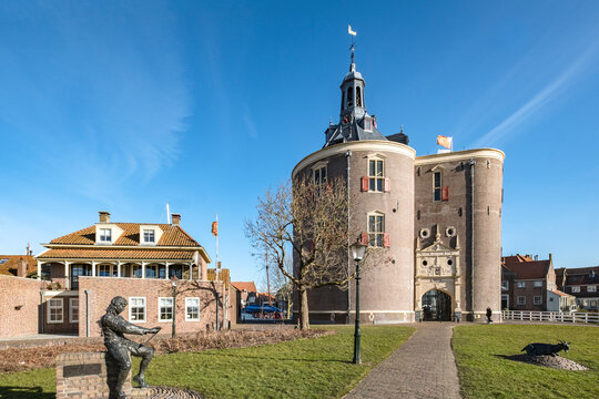 Dromedaris in Enkhuizen, Noord-Holland province, The netherlands
