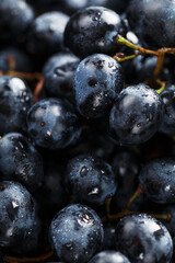 Juicy fruits of black ripe grapes close-up as texture.