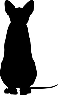 recommend clip art: Sphynx Cat Silhouettes SVG Sphynx Cat Clipart
