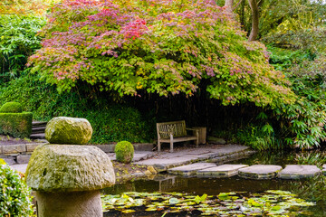 Fototapeta na wymiar japanese garden with flowers