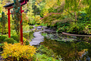 japanese garden in autumn