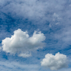 Obraz premium a large cumulus cloud on a background of blurry cirrus clouds as a natural background