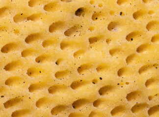 ultra macro texture of yellow bottom of the mushroom cap