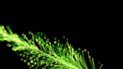 3D rendering of a stylish bright branch growing elegantly against a black background with particles