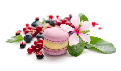A scattering of juicy berries, flower and macaron.
