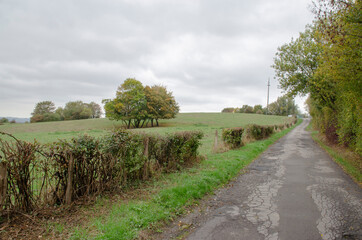 Aachen Eilendorf: Weg in der landschaft