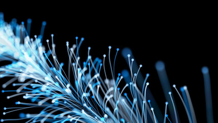 3D rendering of a stylish Christmas bright branch growing elegantly against a black background