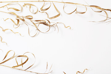 dried wild plants on white background