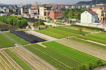 Fototapeta na wymiar Farmland with farmer's houses in the suburban area, Zhejiang Province, China