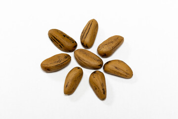 The hard-shelled seeds of the pine tree species, scientific name Pinus pinea, on an isolated white background. Also known as pine nuts. The seeds are arranged in the form of a flower or a turtle.