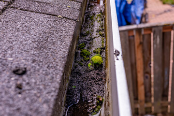 Up close photo of a gutter full with mud, sand and debris. Moss grow inside