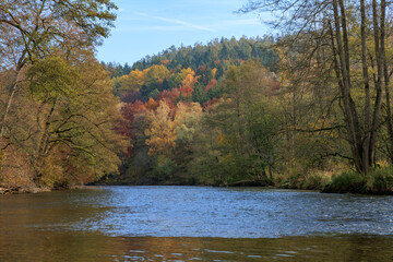 Landscape of River Amper surrounded by a yellowing forest in autumn in Germany - obrazy, fototapety, plakaty