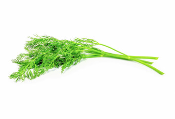 Fresh dill on white background