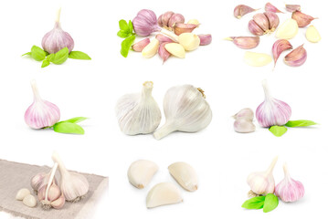 Set of Garlic on a white background. Clipping path