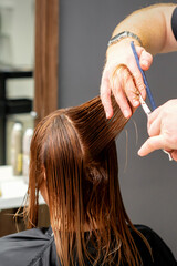 Woman having a new haircut. Male hairstylist cutting brown hair with scissors in a hair salon