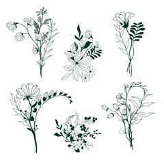 Set of tiny hand drawn floral elements - obrazy, fototapety, plakaty