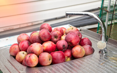 harvest of red apples in a plastic basket