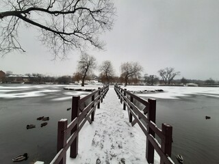 frozen city park in Minsk