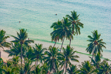 Asia, Thailand. Palm trees on Koh Chang, South of Bangkok, in Gulf of Thailand.