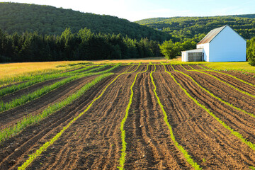 Canada, Nova Scotia, Cape Breton, Miller Farm, Margaree