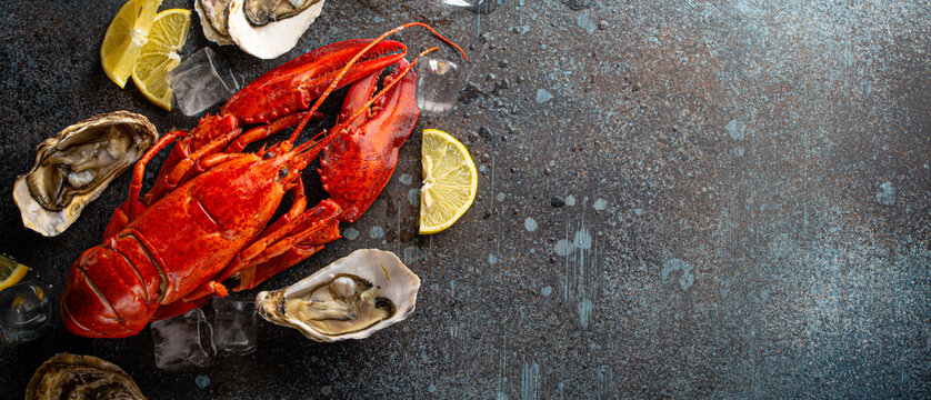 Boiled cooked red whole lobster ready to eat and fresh open oysters served with lemon wedges and ice cubes top view flat lay on blue concrete stone background, seafood plate, space for text