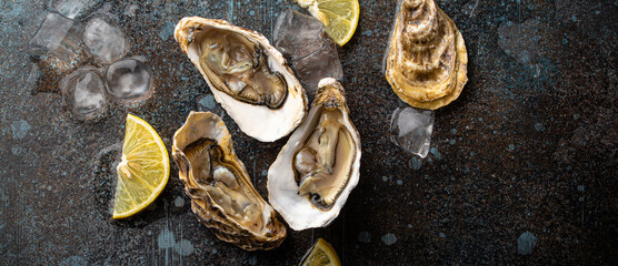 Fresh open oysters served with lemon wedges and ice cubes on rustic stone background top view,...