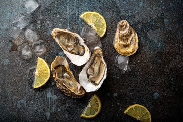 Fresh open oysters served with lemon wedges and ice cubes on rustic stone background top view, seafood oyster bar concept 
