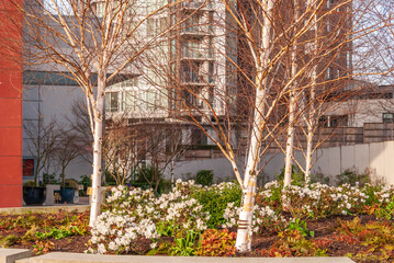 Fototapeta na wymiar Modern Apartment Buildings with flowers and plant landscape in Vancouver, British Columbia, Canada.
