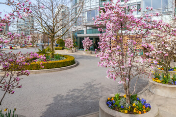Modern Apartment Buildings with flowers and plant landscape in Vancouver, British Columbia, Canada.