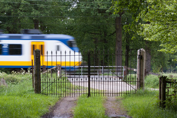 Moving blue yellow white Dutch NS Sprinter Train across an ungarded railway crossing, behind a...