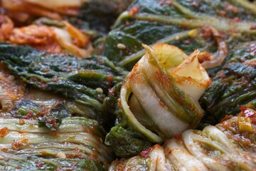 Still life close up of kimchi.