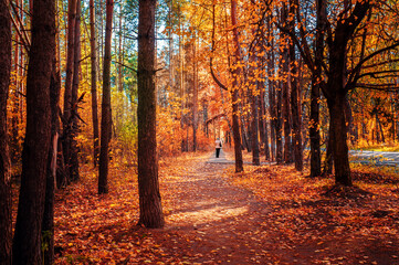 Fototapeta premium Silhouette against the background of the autumn landscape. Beautiful fabulous bright autumn forest