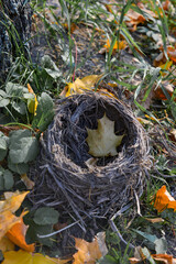 bird nest with outumn sheet 