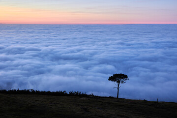 paisaje de un atardecer en el monte con una mar de nubes cubriendo el mar cantabrico