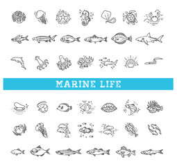 Marine life icon set. Vector outline icons