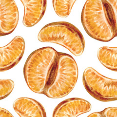 Seamless pattern with tangerines isolated on white background. Bright fruit collection of hand drawn illustrations.